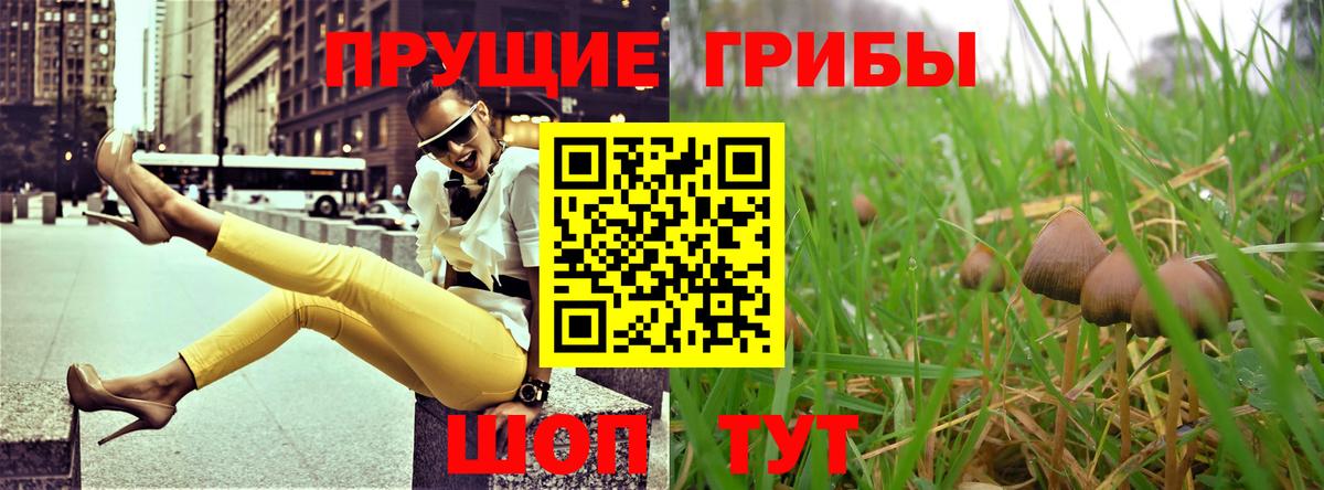 Галлюциногенные грибы ЛСД Великий Новгород